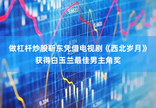 做杠杆炒股靳东凭借电视剧《西北岁月》获得白玉兰最佳男主角奖