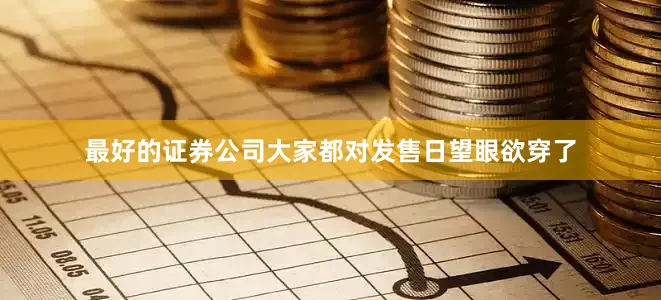 最好的证券公司大家都对发售日望眼欲穿了