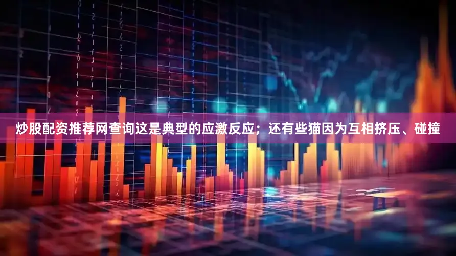 炒股配资推荐网查询这是典型的应激反应；还有些猫因为互相挤压、碰撞