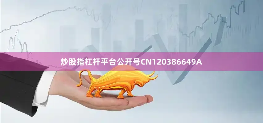 炒股指杠杆平台公开号CN120386649A