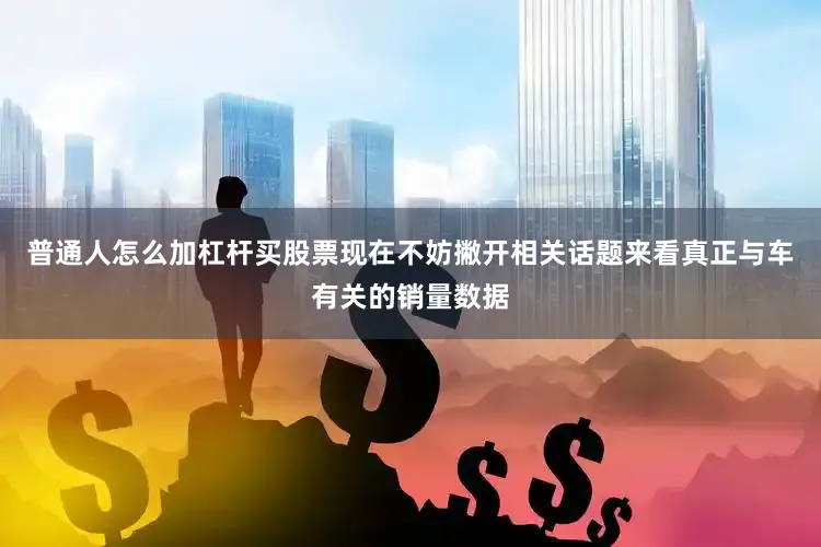 普通人怎么加杠杆买股票现在不妨撇开相关话题来看真正与车有关的销量数据